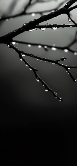 下雨天的灵动雨滴高级感雨滴