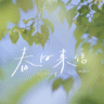shanpu